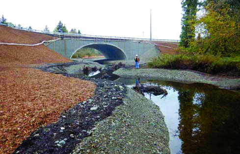 Fish Passage
